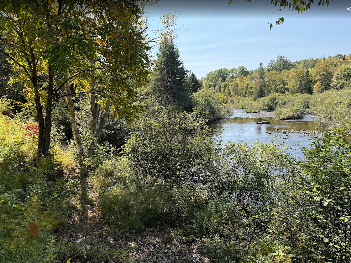Bande riveraine végétalisée